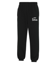 Load image into Gallery viewer, UNISEX FLEECE SWEATPANTS - ATCF2800 - PC DOLPHINS - HP