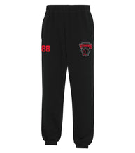 Load image into Gallery viewer, UNISEX FLEECE SWEATPANTS - ATCF2800 - VULCAN VIPERS - HP